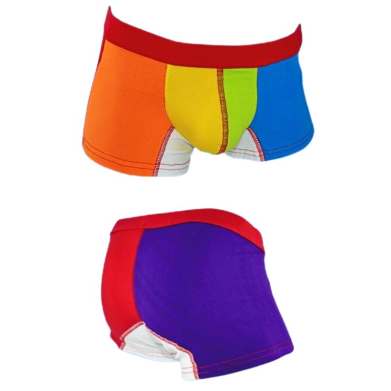 Biker Arcoiris