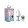 Cheeky Charms-Silver Metal Butt Plug-  Round-Clear-Large