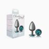 Cheeky Charms-Gunmetal Metal Butt Plug-  Round-Medium