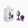 Cheeky Charms-Gunmetal Metal Butt Plug-  Round-Small