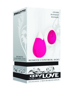 Remote Control Egg