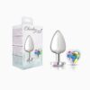 Cheeky Charms-Silver Metal Butt Plug-  Heart-Clear-Large