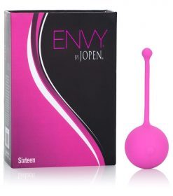ENVY SIXTEEN