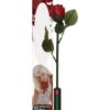 Romantic Rose Play Vibe