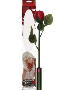 Romantic Rose Play Vibe
