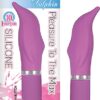 Perfection Dolphin Purple