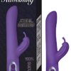 Ravishing Angel Butterfly Purple
