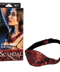 SCANDAL HIDDN PLSRE BALL GAG