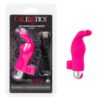INT PLAY RCHG FINGER BUNNY