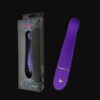 Elan Le Virage Purple