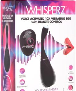 WH Voice Activated 10X Vibrating Egg with Remote Control