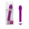 10 FUNC RISQUE TULIP -  PURPLE