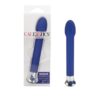 10 FUNC RISQUE TULIP - BLUE