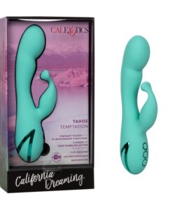 CA DREAM TAHOE TEMPTATION