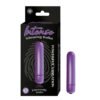 INTENSE VIBRATING BULLET-PURPLE