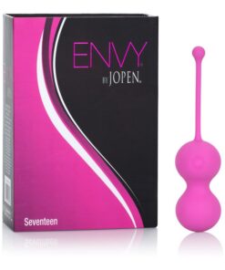 Envy Seventeen