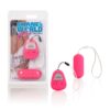 SW HOOKUP REMOTE CONTROL