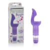 Platinum Edition Personal Pleasurizers