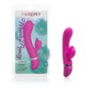 FOREPLAY FRENZY - CLIMAXER