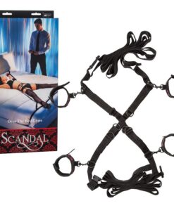 SCANDAL OVER THE BED CROSS