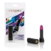 HIDE & PLAY LIPSTICK - PURPLE