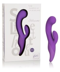 Silhouette S 13 Puple