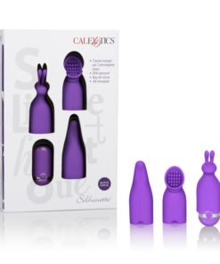 Silhouette S 22 Puple