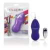 Vibrador tipo Bullet con Control Ergonómico Ballistic Bullet Morado CalExotics