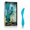 CA DREAM PALM SPRINGS PLEASER
