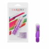 TRAVEL BLASTER - PURPLE