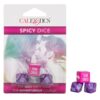 SPICY DICE