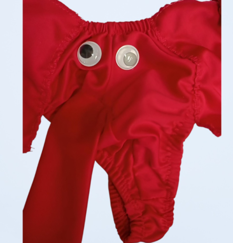 Tanga Pajarito Genérica · fotografía 2