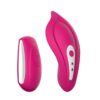 Vibrador para Panty Recargable con Control Remoto Cerise Liebe