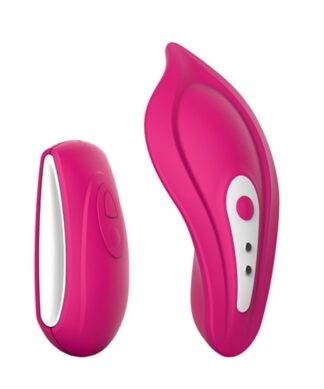 Vibrador para Panty Recargable con Control Remoto Cerise Liebe