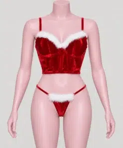 Disfraz Bustier Santa — vista sin falda para mostrar la tanga incluida